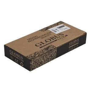 Душова лійка Globus Lux NS-003-GP №5
