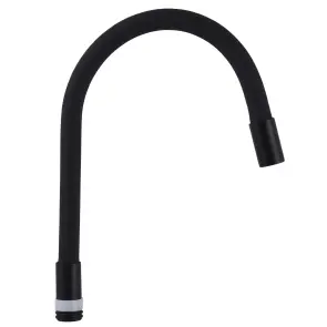 Излив смесителя Globus Lux DLR-BLACK-BLACK №1