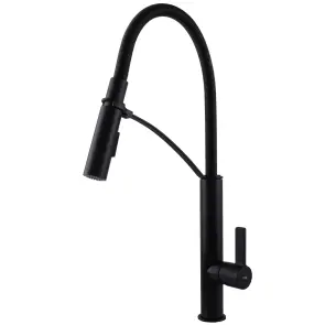 Смеситель для кухни TOPAZ MODERNO TMD 8818-H23-BL №1