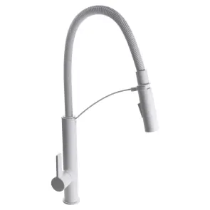 Смеситель для кухни TOPAZ MODERNO TMD 8818-H23-W №2