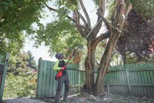 Висоторіз ланцюговий телескопічний акумуляторний безщітковий MILWAUKEE, M18 FTPS30-121, 30см (зарядний пристрій M12-18 FC, 1 аку №4