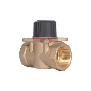 Клапан трехходовой Thermo Alliance Standart 1" ВР ручной SF363W25 №1