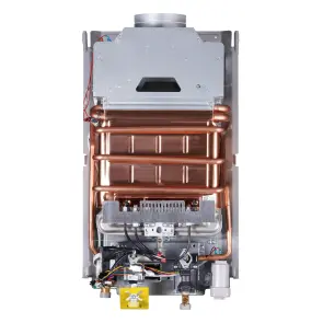 Колонка газова димохідна Thermo Alliance JSD20-10NQB SILVER 10 л EURO+ №8