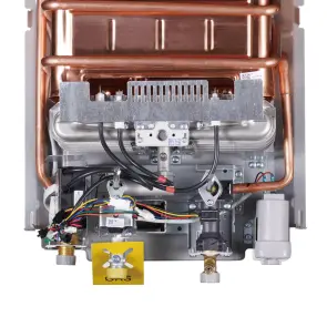 Колонка газова димохідна Thermo Alliance JSD20-10NQB SILVER 10 л EURO+ №9