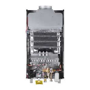 Колонка газова димохідна Thermo AllianceJSD20-10CR SILVER 10 л №8