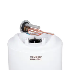 Водонагреватель Thermo Alliance Spectra 50 л вертикальный, мокрый ТЭН 1,5 кВт, d 435 мм №7