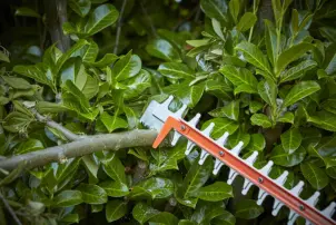Кущоріз електричний BLACK+DECKER BEHTS551 №3