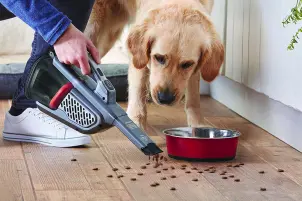 Пилосос акумуляторний BLACK+DECKER BHHV520BT №10