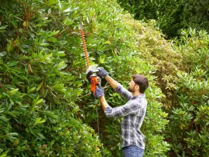 Кущоріз електричний BLACK+DECKER BEHTS401 №3