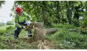 Пила цепная аккумуляторная бесщёточная DeWALT DCMCS574N №6
