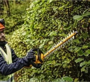 Кусторез аккумуляторный бесщеточный со штангой DeWALT DCMPH566P1 №7