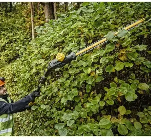 Кусторез аккумуляторный бесщеточный со штангой DeWALT DCMPH566P1 №11