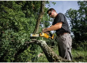 Мини-пилка цепная аккумуляторная бесщеточная DeWALT DCMPS520N №18