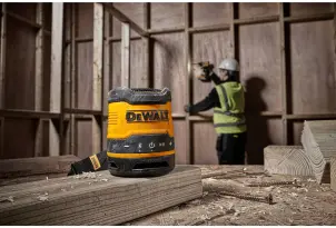 Колонка портативная аккумуляторная DeWALT DCR009 №7