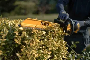 Кущоріз акумуляторний DeWALT DCMHT562P1 №13