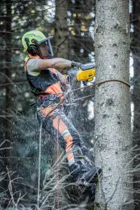 Пилка ланцюгова акумуляторна безщіткова з верхньою рукояткою DeWALT DCMCST635N №9