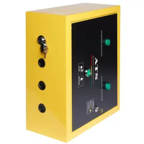 Генератор бензиновий EnerSol EPG-11000SEA №19