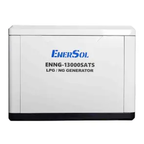 Генератор газовий EnerSol ENNG-13000SATS №9