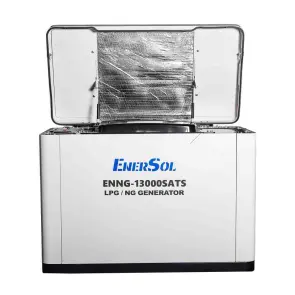 Генератор газовий EnerSol ENNG-13000SATS №10