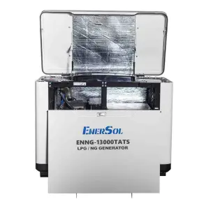 Генератор газовий EnerSol ENNG-13000TATS №8