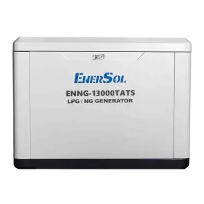 Генератор газовий EnerSol ENNG-13000TATS №10