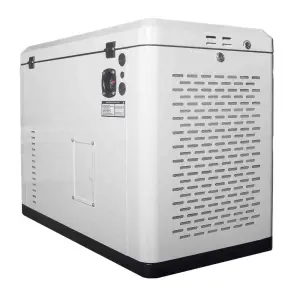 Генератор газовий EnerSol ENNG-13000TATS №13
