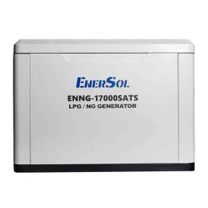 Генератор газовий EnerSol ENNG-17000SATS №8