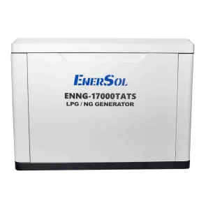 Генератор газовий EnerSol ENNG-17000TATS №9