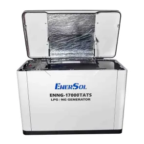 Генератор газовий EnerSol ENNG-17000TATS №10