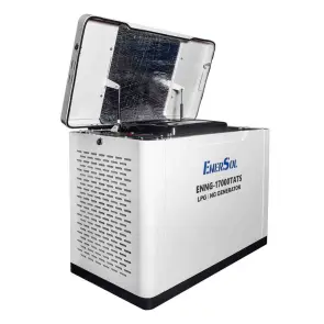 Генератор газовий EnerSol ENNG-17000TATS №11