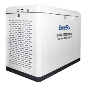 Генератор газовий EnerSol ENNG-17000TATS №12