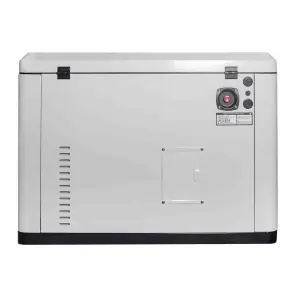 Генератор газовий EnerSol ENNG-17000TATS №14