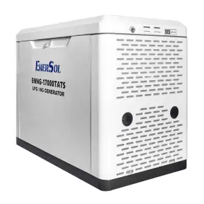 Генератор газовий EnerSol ENNG-17000TATS №16
