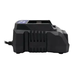 Зарядний пристрій PROFI-TEC BC20V №2