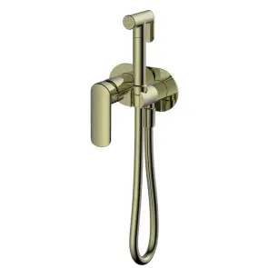 Смеситель для гигиенического душа Koer KB-22028-12 (Цвет матовое золото) (KR6014) №1
