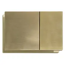 Панель змиву Koer KT-0610-12 240x160x32mmmm пластикова, кнопка квадратна (колір матове золото) (KR6137)