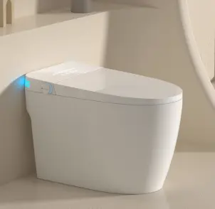 Унітаз-біде підлоговий з електронним управлінням Koer TB-0201 Smart 675x400x450mm із вбудованим бачком (KR6071) №55