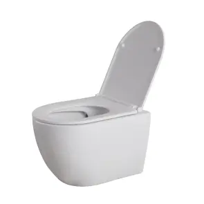 Унитаз подвесной Mixxus Ellipse-0310-T3 480х360х340mm система смыва Tornado 3.0 (MI8426) №13