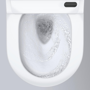 Унитаз-биде Grohe Sensia Pro настенный (36508SH0) №5