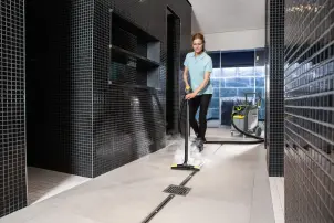 Професійний паропилосос SGV 8/5 Karcher №6
