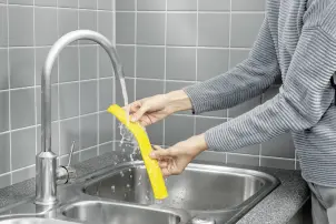 Акумуляторний віконний пилосос WV 6 Plus Karcher №2
