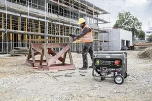 Електрогенератор PGG 3/1 Karcher №4