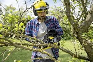 Акумуляторна ланцюгова пила CNS 18-30 Battery Karcher №2