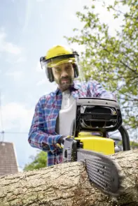 Акумуляторна ланцюгова пила CNS 18-30 Battery Karcher №3