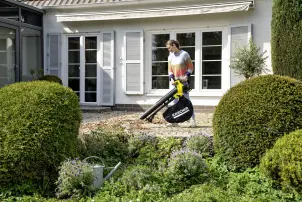 Акумуляторна повітродувка з функцією пилососу BLV 18-200 Battery Karcher №2