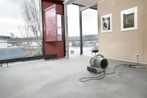 Сушарка для килимів AB 20 Ec Karcher №2