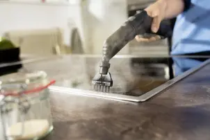 Комплект плоских щіток 4 шт. Karcher №2