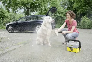 Щітка для чищення шерсті Karcher №2
