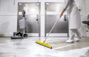 Зганяння 75 см Karcher №2