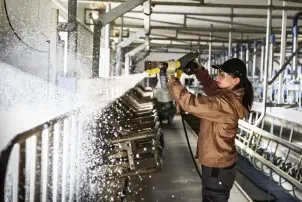 Лужний засіб для пінного чищення PressurePro RM 91 Agri, 10л Karcher №2